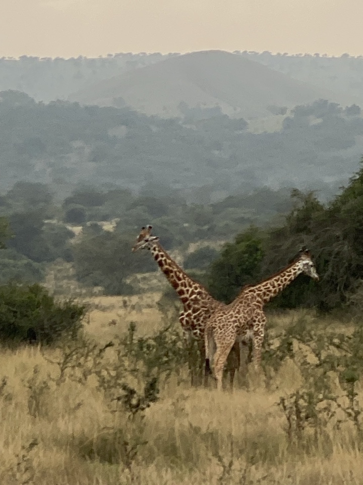 rdennisjr's header image