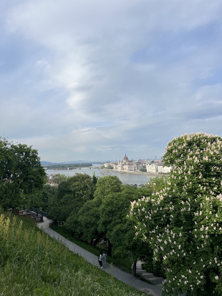 rileyaosullivan's header image