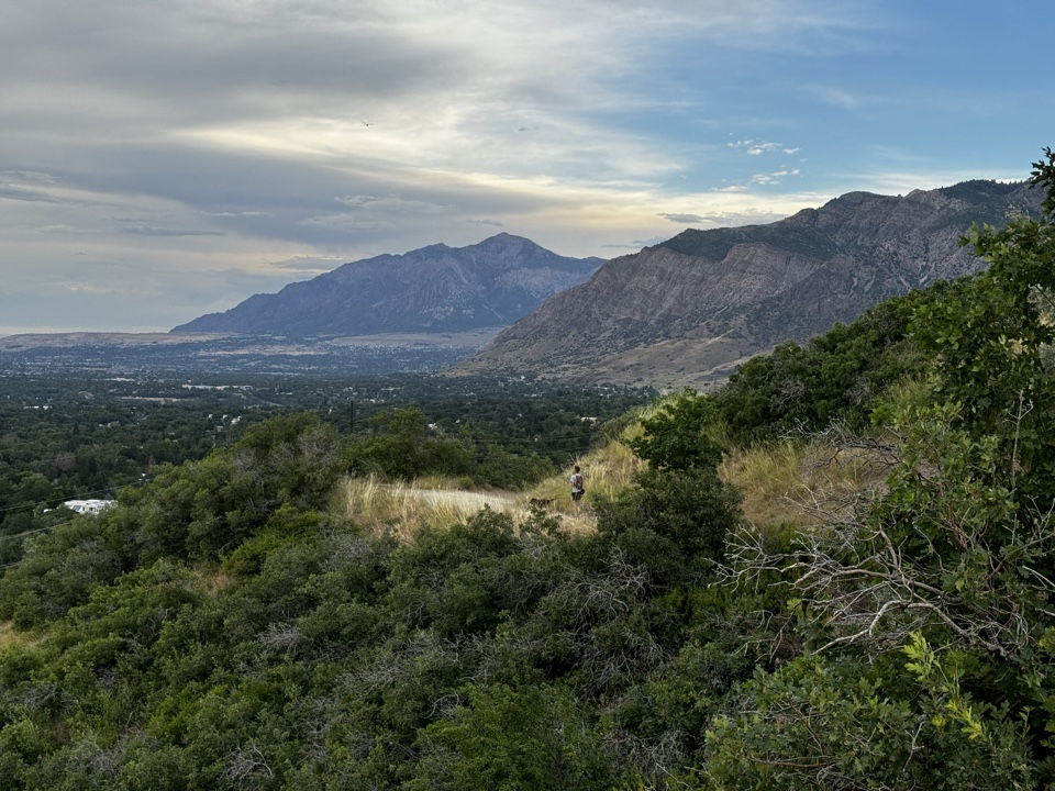 sarahsherer's header image