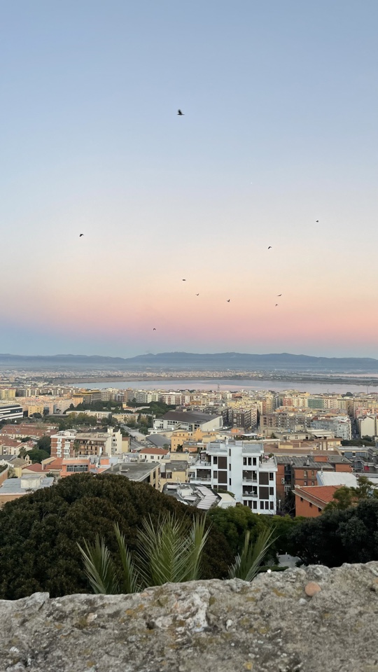 saramereu's header image