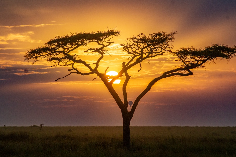 sightseersteph's header image