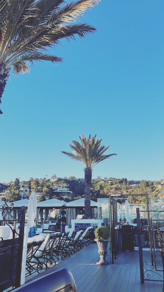 snietzer's header image