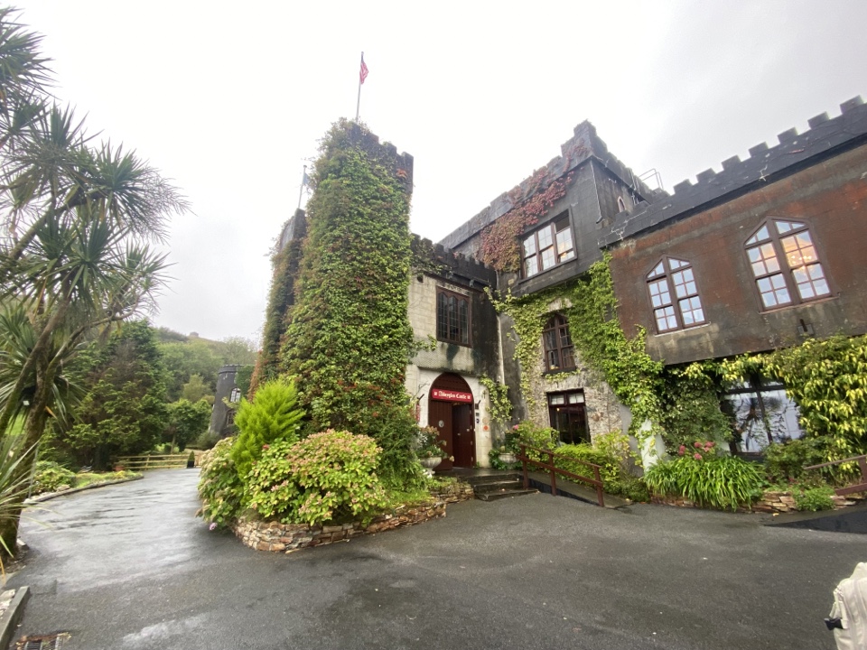 tara.campisano's header image