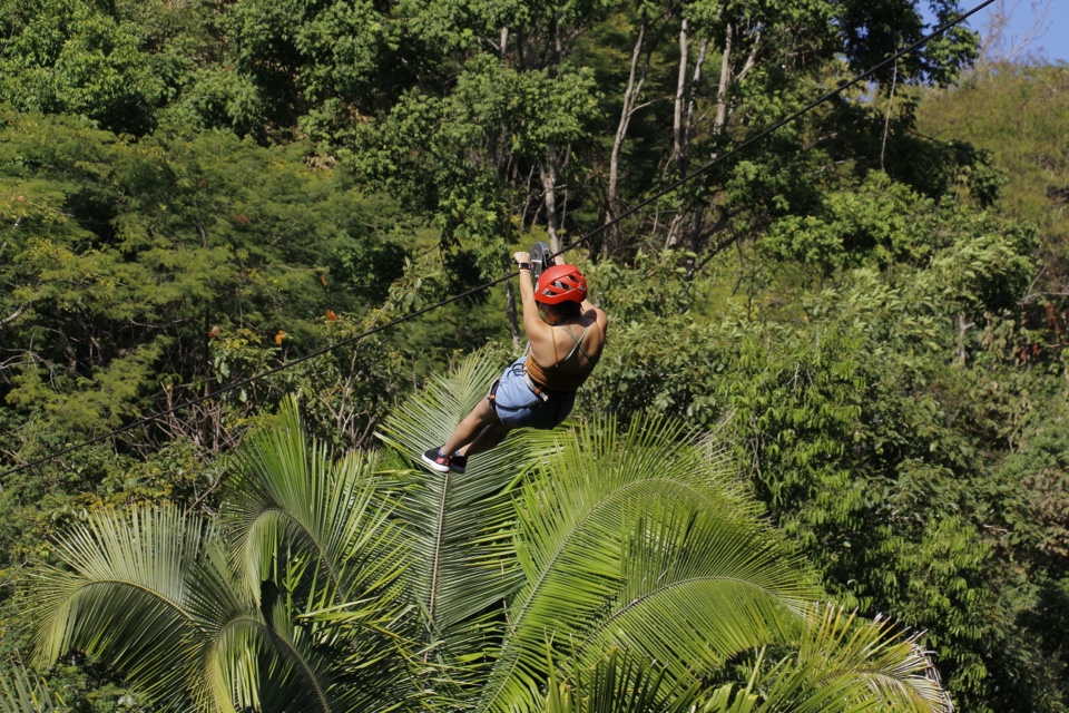 thegreenferrett's header image