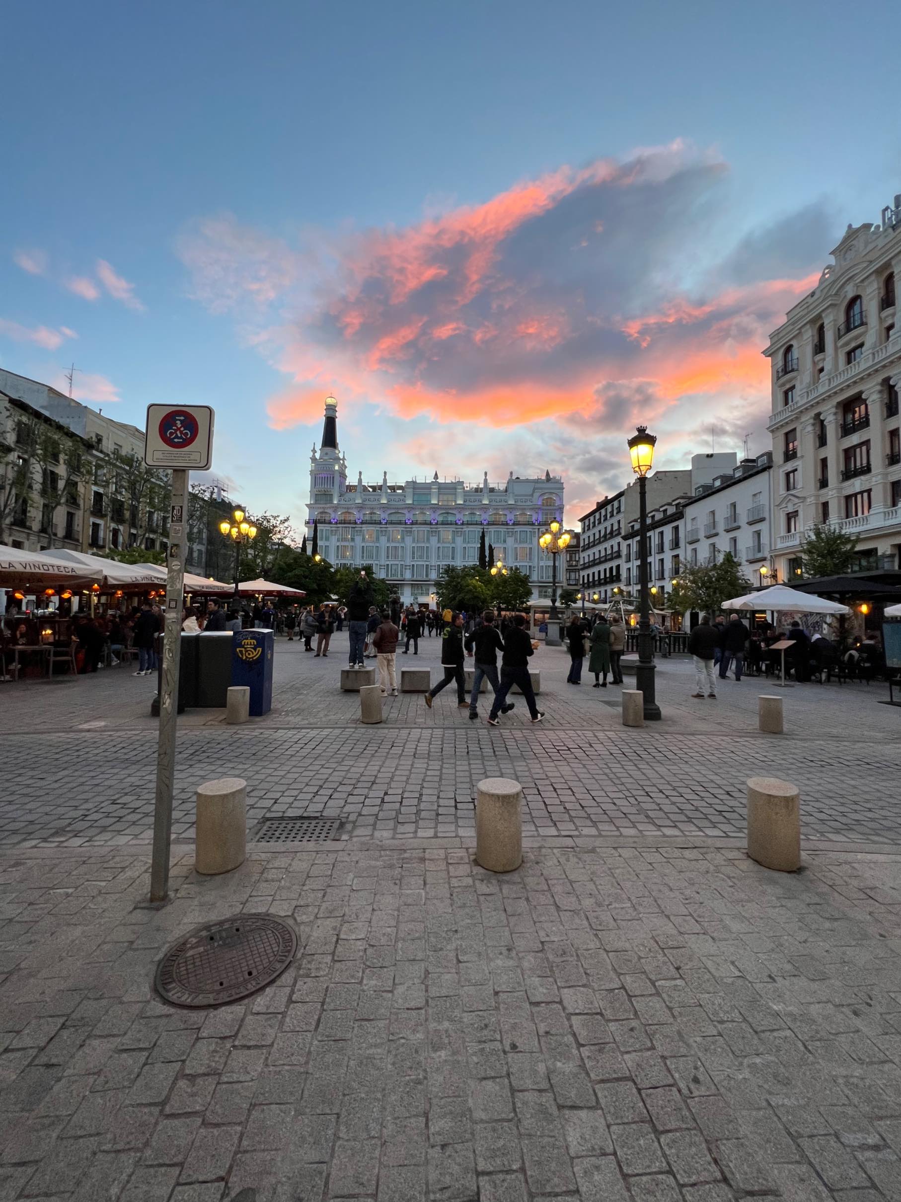 trewhite's header image