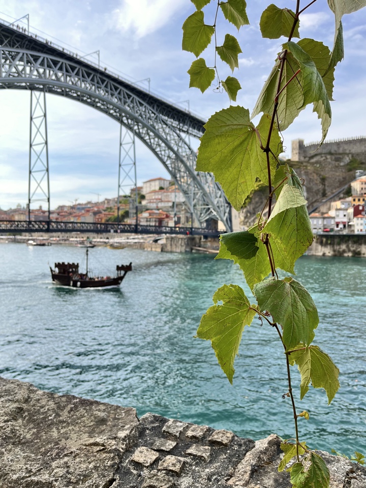 valeria_liv's header image