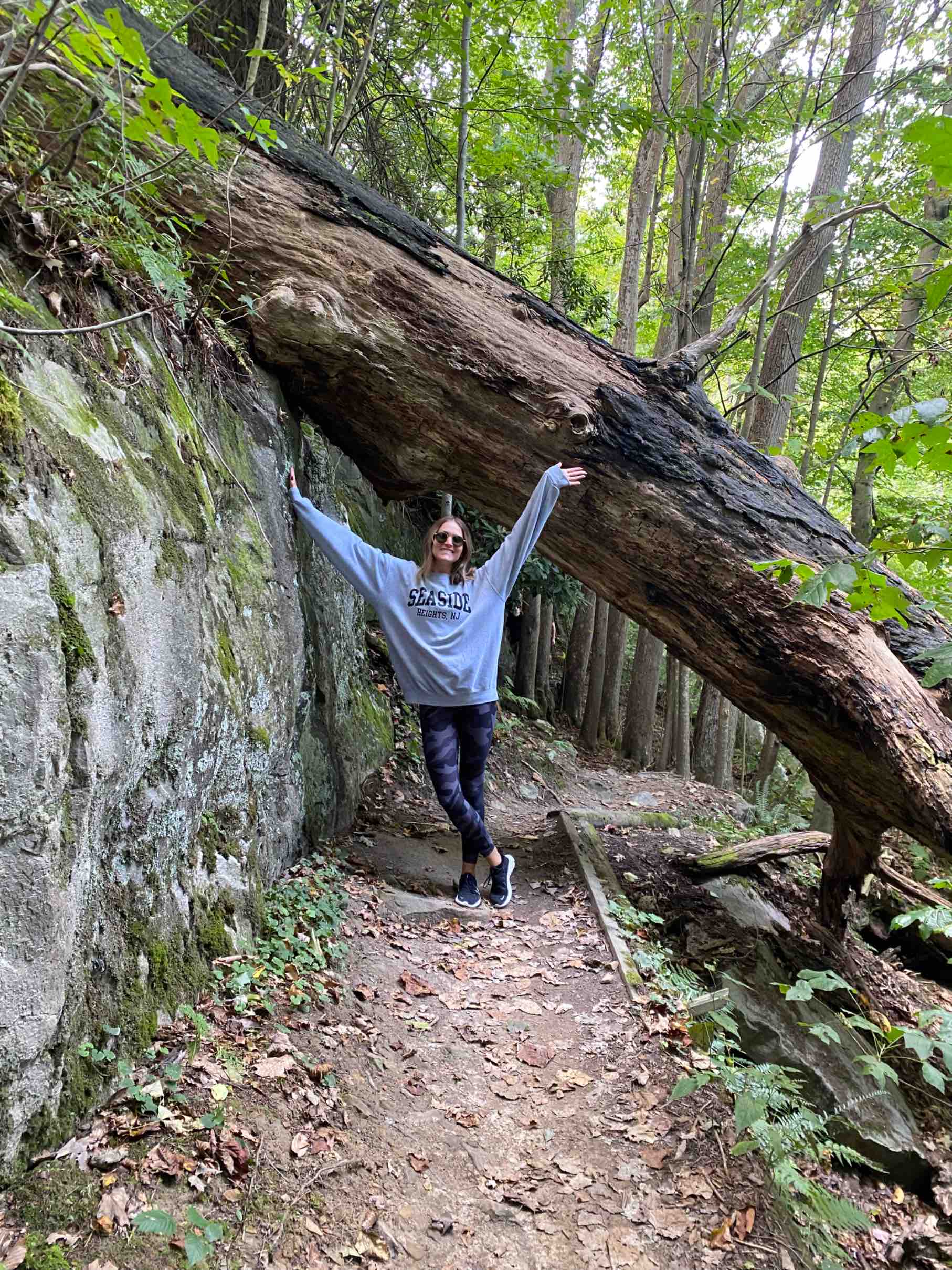 LSapone's profile picture