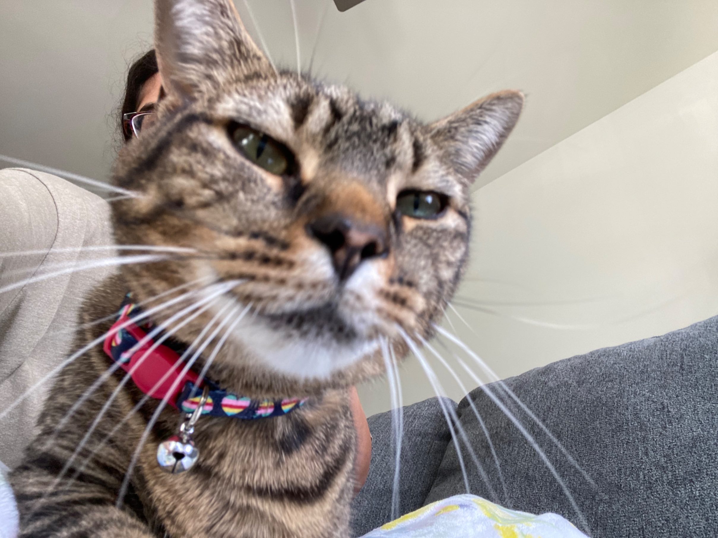 MShreyaaa's profile picture