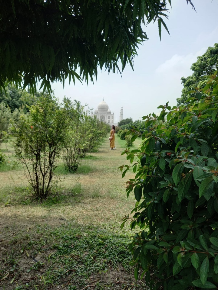 VeraTravel's profile picture