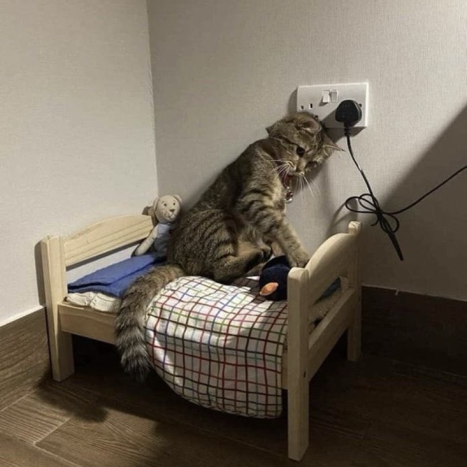 cmd43509's profile picture