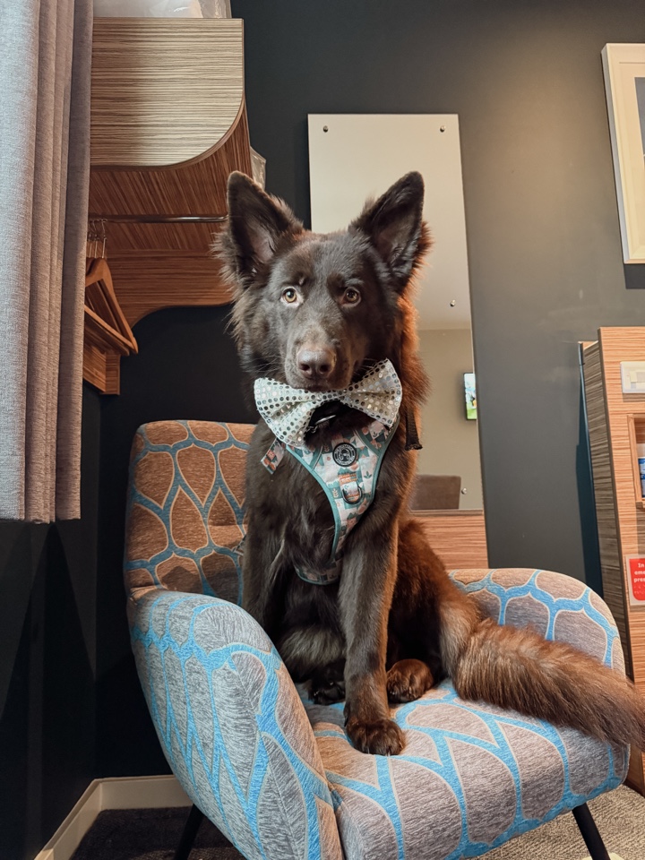 darlagsd's profile picture