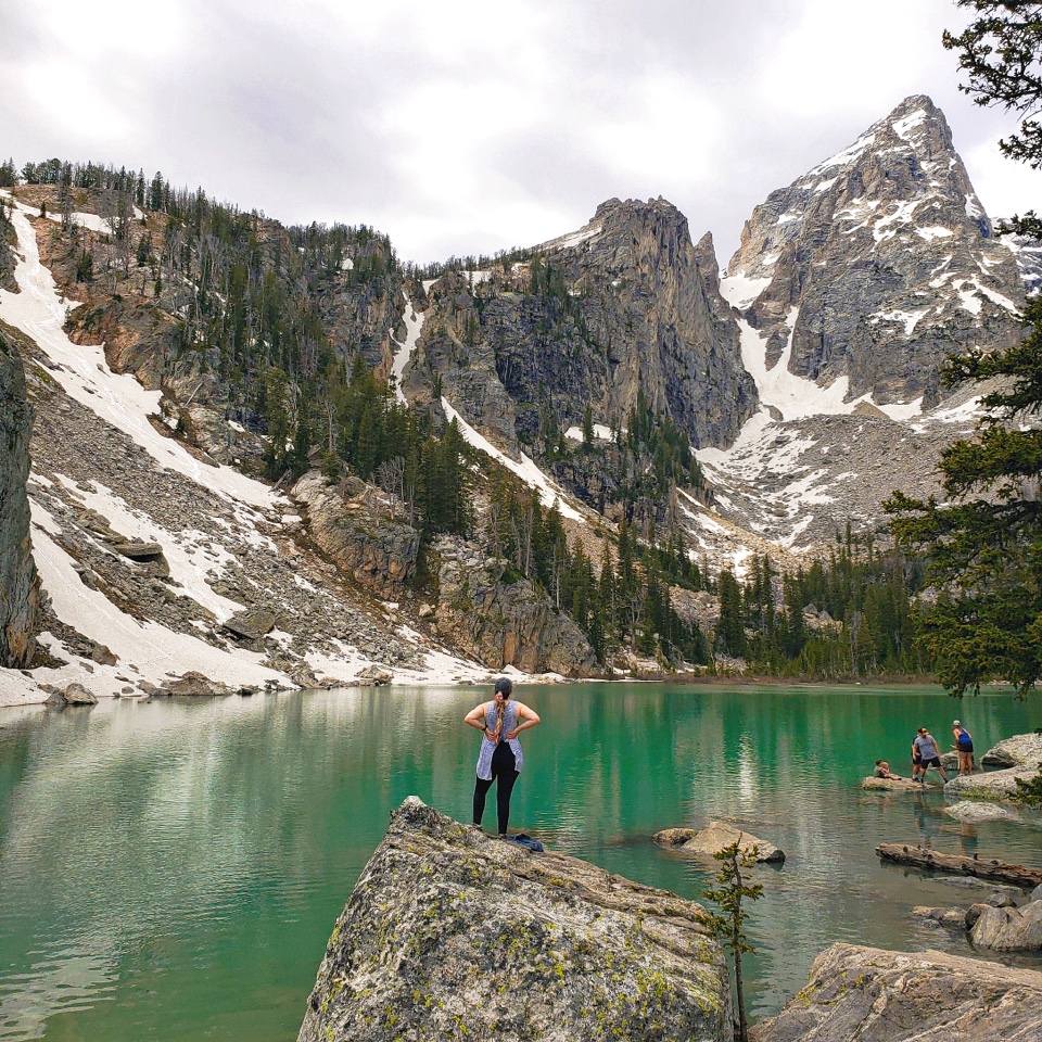 dgriffi2's profile picture