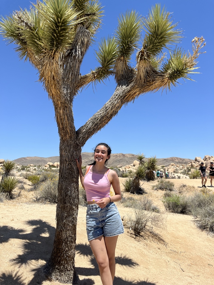 emmaepazote's profile picture