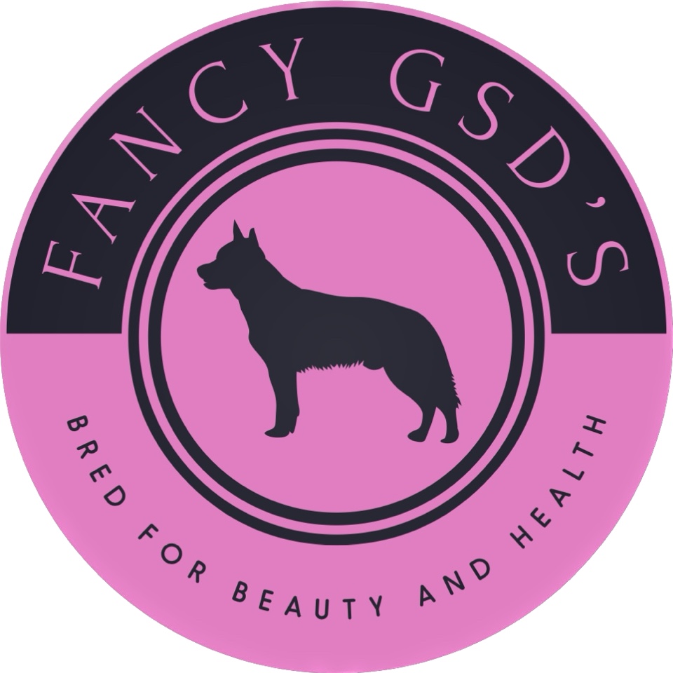 fancygsds's profile picture