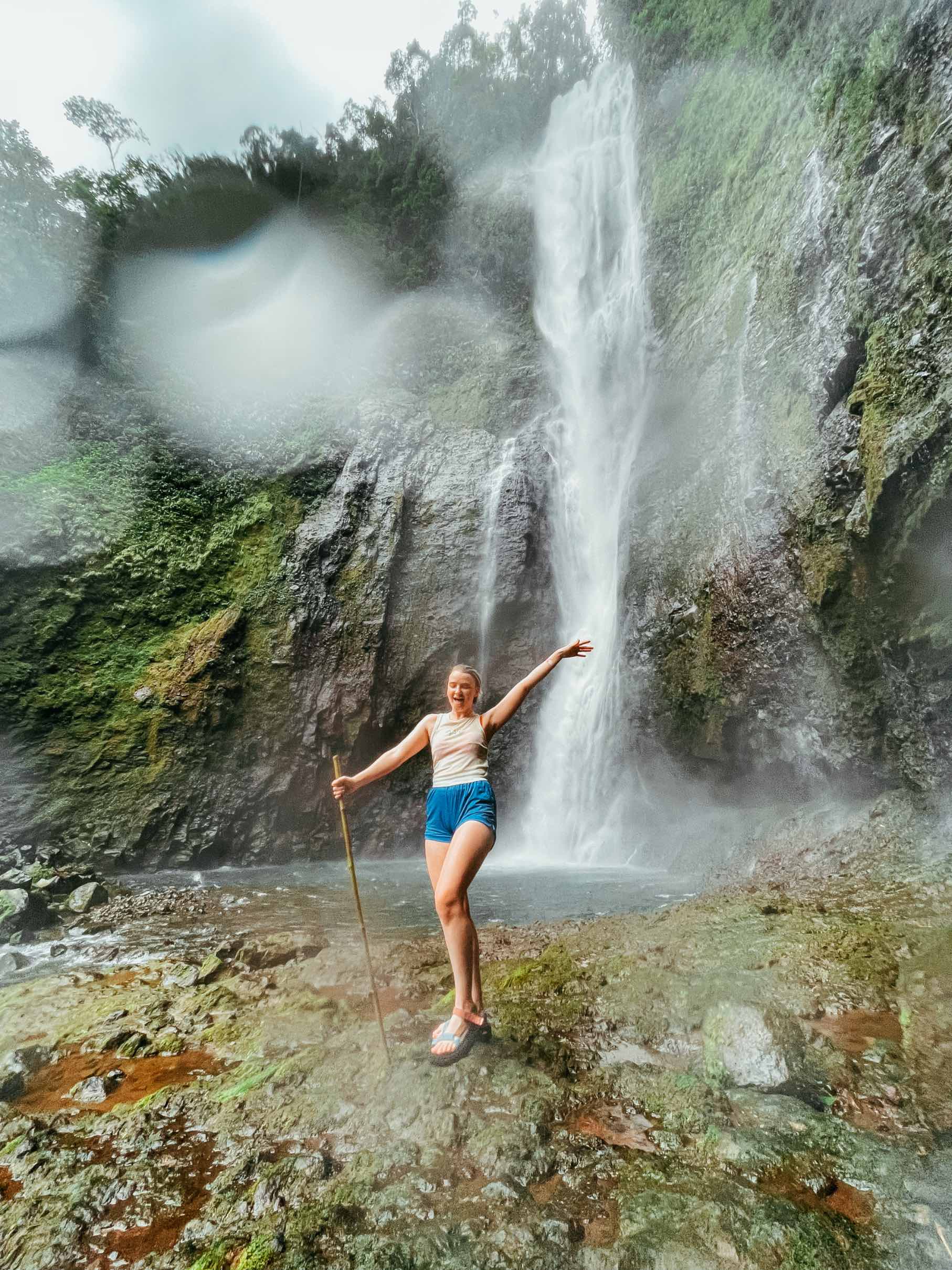 jerrica's profile picture