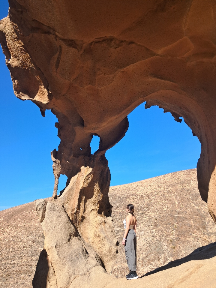 laurarranz's profile picture