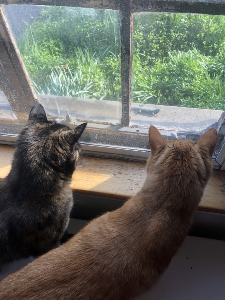 nbchristmann's profile picture