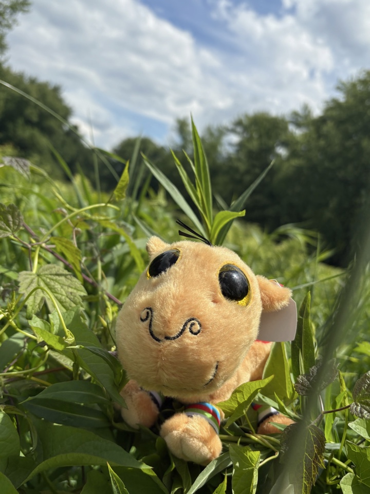 pineapple's profile picture